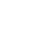 Woocommerce Icon