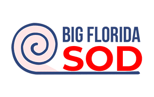 bigfloridasods-logo