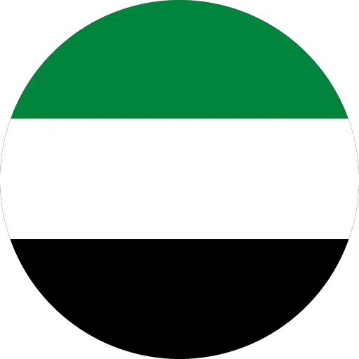 UAE flag